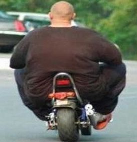 [Image: fat-man-on-motorcycle.jpg]