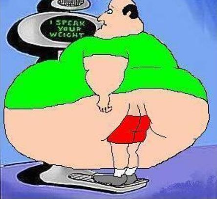 Fatness Scale