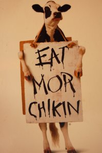 eat-more-chicken1